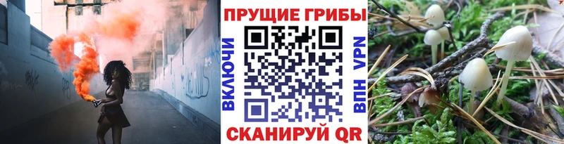 Псилоцибиновые грибы ЛСД  мега ТОР  Первомайск  сколько стоит 